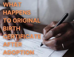 What happens to original birth certificate after adoption